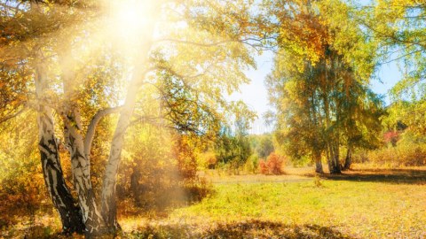 Bu gün hava necə olacaq? - PROQNOZ