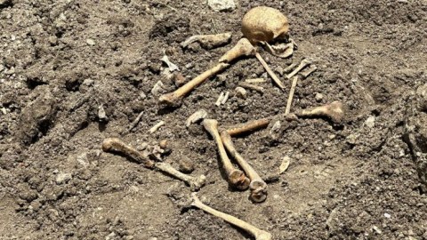 Kütləvi məzarlıqlarda 400-dən artıq meyit qalıqları aşkarlanıb