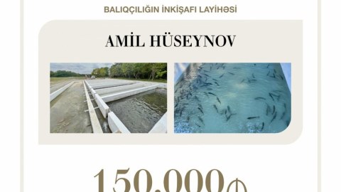 Balıqçılığın inkişafı üçün 150 min manat güzəştli kredit verilib