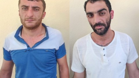 Lerikdə külli miqdarda nakotik aşkarlandı