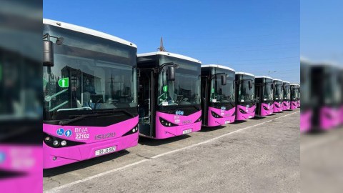 Tıxaca görə avtobuslar parklarda saxlanılır - Agentlik sədri