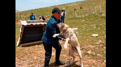 Çavuşoğlunun bu görüntüsü diqqət çəkdi - VİDEO