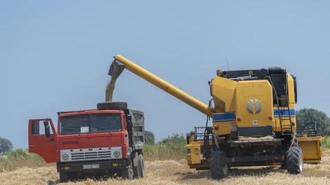Taxıl zəmilərindən 1 milyon tondan çox məhsul yığılıb - FOTOLAR