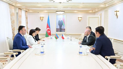 Sahibə Qafarova çexiyalı deputatlarla görüşdü