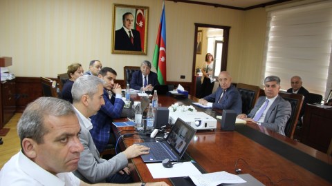 Əqli mülkiyyət idarəetməsi və inzibatçılığı modelləri - Tədqiqat