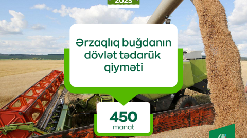 Ərzaqlıq buğdanın qiyməti 22% azaldılıb