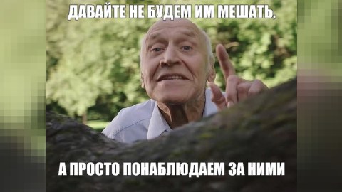Arestoviçdən Rusiyadakı qiyama fərqli münasibət 