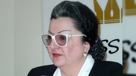 Lalə Şövkətin partiyası fəaliyyətini DAYANDIRDI