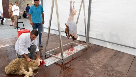 Pirallahı rayonunda qurbanlar kəsildi - FOTOLAR