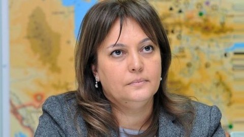 Selin ağır fəsadlar törədə biləcəyi nəzərə alınmır - Nazir müavini