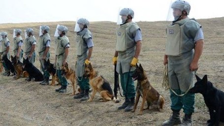 ANAMA-da işləmək istəyənlərin NƏZƏRİNƏ