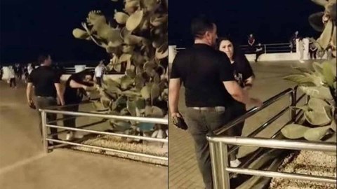 Bulvarda kaktuslara zərər vuran qadın SAXLANILDI