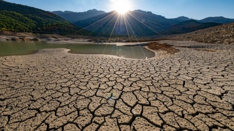 2023-ün iyunu planetin ən isti ayı olub