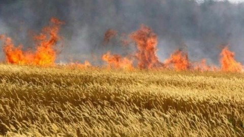 Qəsdən yanğın törədən sahibkarlara subsidiya verilməyəcək