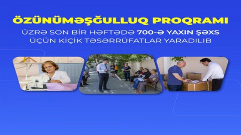 Bir həftədə 700-ə yaxın şəxs üçün kiçik təsərrüfatlar yaradılıb