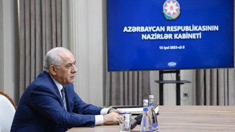 Nazirlərə Söyüdlü ilə bağlı tapşırıq