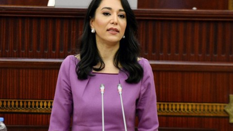 Ombudsmana yeni səlahiyyət verilir