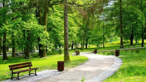Həftəsonu milli parklarda gözlənilən hava PROQNOZU