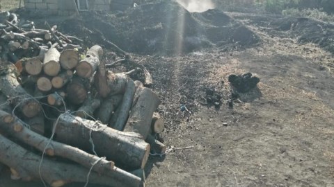 Qanunsuz kömür istehsalı aşkarlandı 