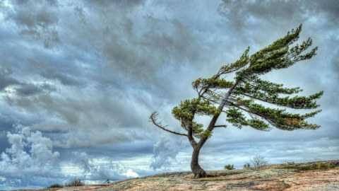 Hava ilə bağlı daha bir XƏBƏRDARLIQ - Sabahdan...