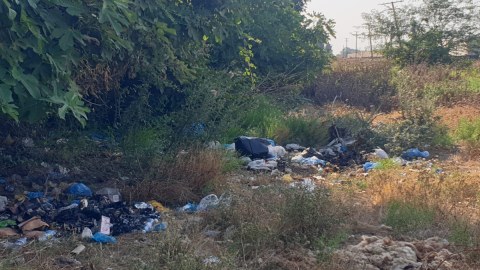 Masallıda ətraf mühiti zibilləyənlər CƏZALANDIRILDI