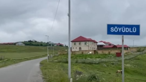 Söyüdlü ilə bağlı təkliflər HAZIRLANDI