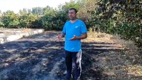 Həyətyanı sahə qəsdən yandırıldı - VİDEO