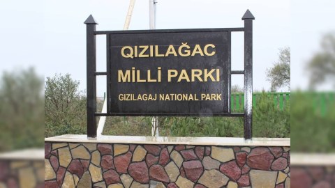 Qızılağac Milli Parkında 6 ay ərzində görülmüş işlər - FOTO