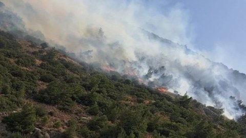 Türkiyədə meşə yanğınları 36 saatdır davam edir