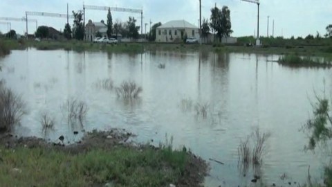 Goranboyda sel fəsadlar törətdi - Heyvanlar tələf oldu