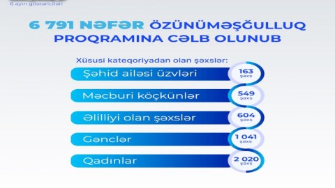7 min şəxs özünüməşğulluq proqramına cəlb edilib