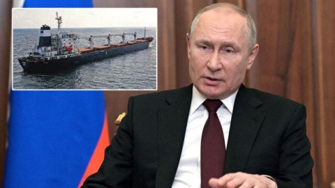 Putin Afrika ölkələrinə pulsuz taxıl vəd etdi