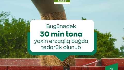 30 min ton ərzaqlıq buğda tədarük olunub