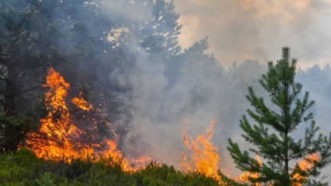 Bölgələrdə yanğın indeksi yüksəkdir