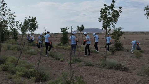 Hacıqabulda “Təmiz ölkəm” aksiyası keçirildi - FOTOLAR