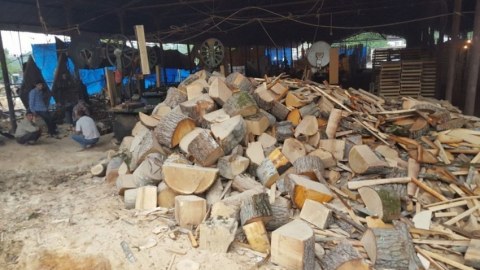 Qanunsuz yolla əldə edilmiş meşə materialı aşkarlandı