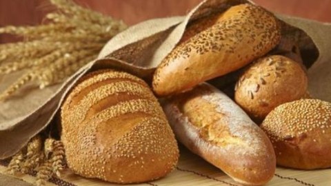 Çörəklərdə kif və göbələk aşkarlandı
