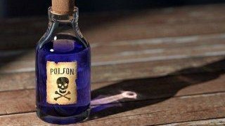 Azərbaycana zəhərli maddənin gətirilməsinin qarşısı alındı