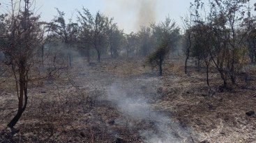 Yanğının meşə sahələrinə keçməsinin qarşısı alındı
