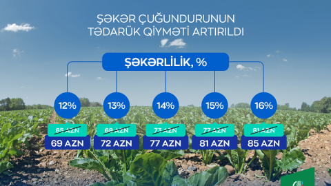Şəkər çuğundurunun tədarük qiyməti artırılıb