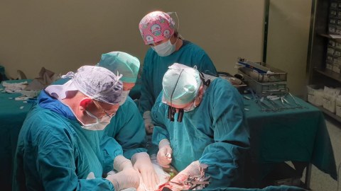 Transplantasiya ilə bağlı qəbul edilən vacib qərar