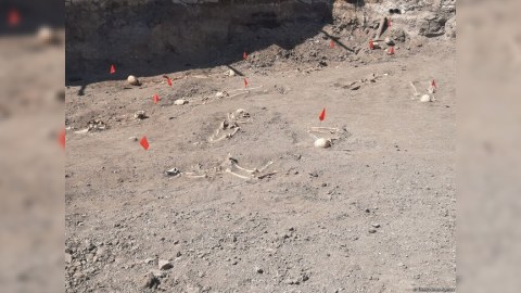 Nəşi kütləvi məzarlıqlarda tapılanlara şəhid statusu veriləcək? - RƏSMİ
