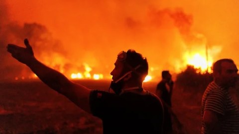 Avropada anomal istilər, meşə yanğınları... - İCMAL (FOTOLAR)