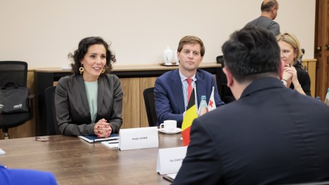 Belçika XİN başçısı gürcü həmkarı ilə görüşdü