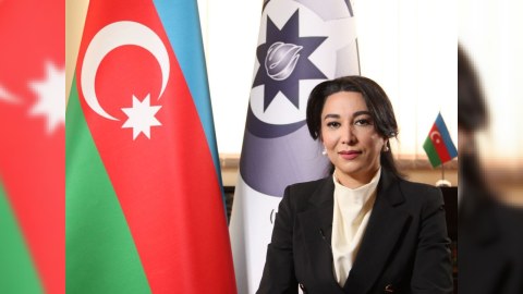 Ombudsman Avropa Şurasına çağırış etdi