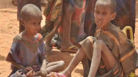 Niger humanitar fəlakət qarşısında