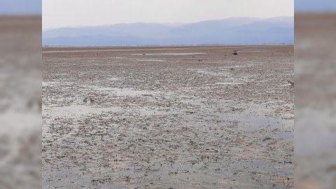 Qızılağac Milli parkının turizm marşrutu - Kiçiki Körfəz