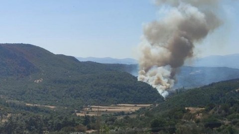 Manisada meşə yanğını - Əraziyə 8 təyyarə, 8 helikopter cəlb olunub