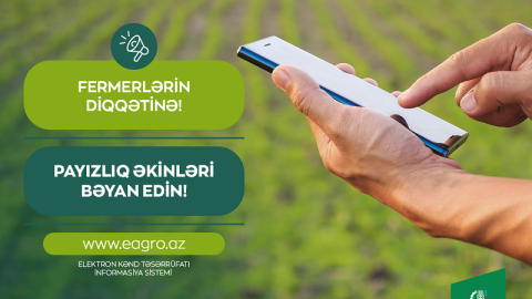 Payızlıq əkinlərin bəyanına başlanıb