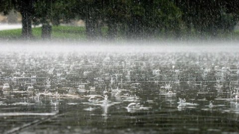 Bölgələrdə bir gündə 3 aylıq norma yağıntı düşüb - Nazir müavini